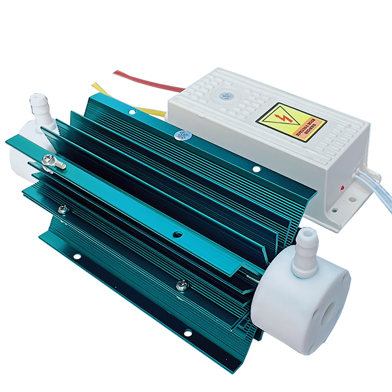 10G-2.jpg